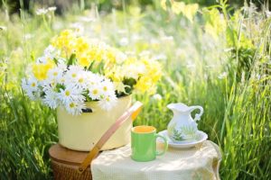 Pikniki catering – catering Mińsk Mazowiecki